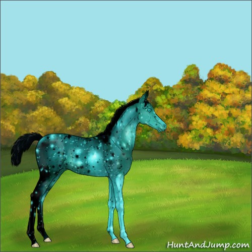Horse Color:ERROR: UNKNOWN ANOMALY
