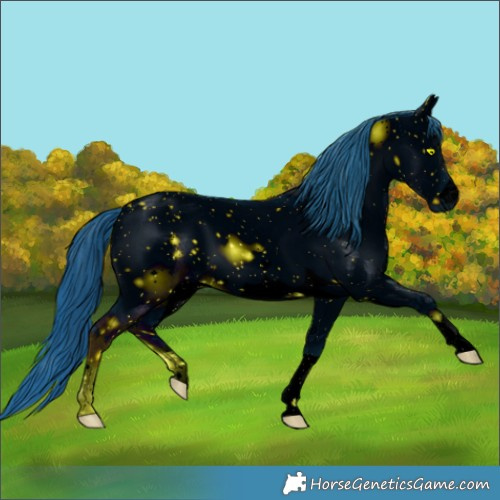 Horse Color:ERROR: UNKNOWN ANOMALY