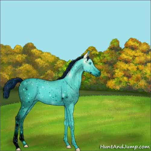 Horse Color:ERROR: UNKNOWN ANOMALY