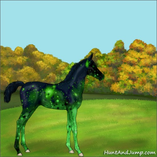 Horse Color:ERROR: UNKNOWN ANOMALY