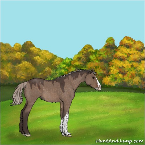 Horse Color:Silver Brown Roan Dun Splash Tobiano Rabicano 