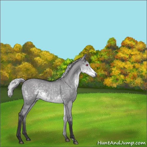 Horse Color:Silver Smoky Grullo Chinchilla 