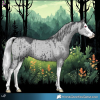Horse Color:Silver Grullo Chinchilla Splash Brindle 