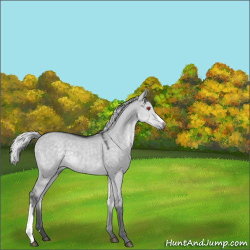 Horse Color:Silver Grullo Chinchilla 