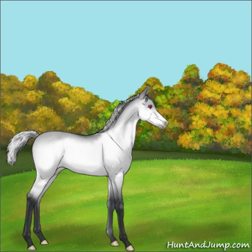 Horse Color:Silver Brown Chinchilla Dun Frame 