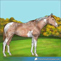 Horse Color:Chestnut Ice Tobiano 