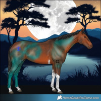 Horse Color:Bay Tobiano 