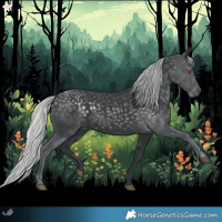 Horse Color:Silver Black Chinchilla 