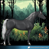 Horse Color:Silver Black Chinchilla 