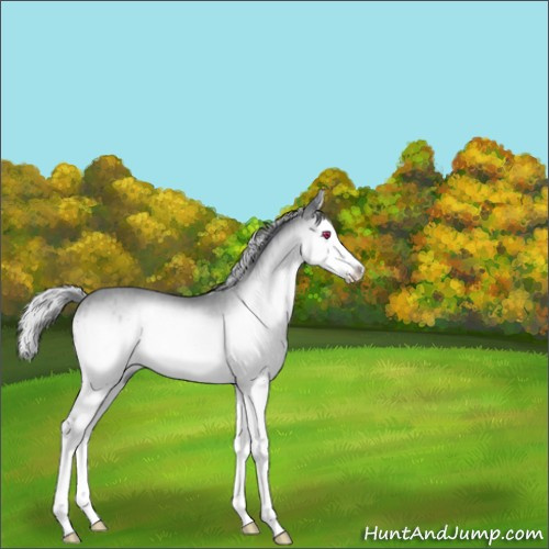 Horse Color:Silver Brown Chinchilla Onyx Splash 