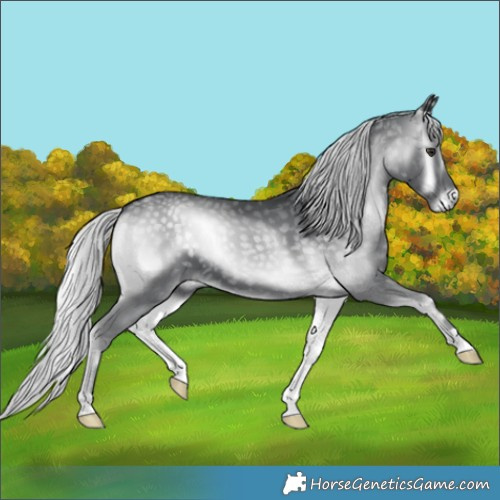 Horse Color:Silver Blue Onyx Chinchilla 