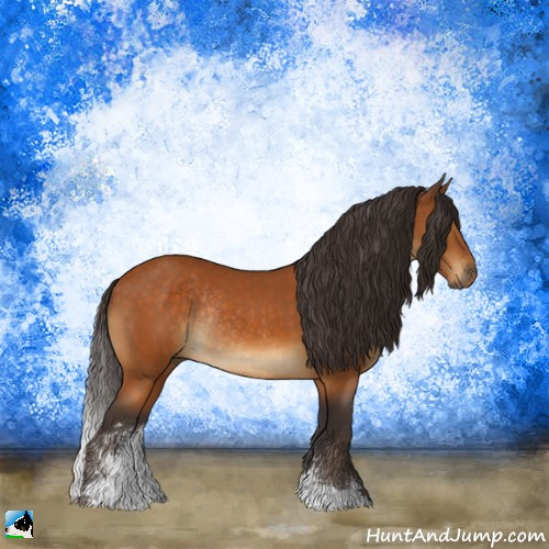 Horse Color:Buckskin Sabino Rabicano 