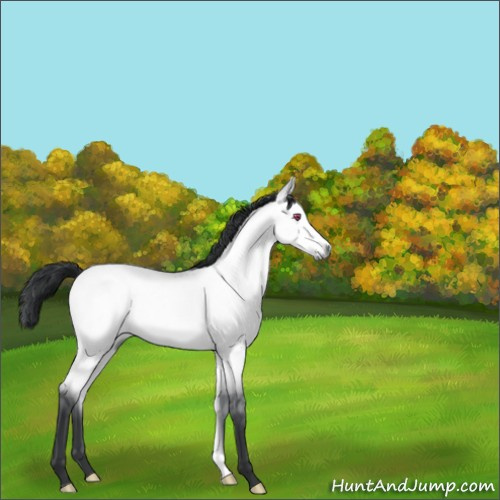 Horse Color:Bay Chinchilla Dun 