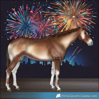 Horse Color:Red Onyx 