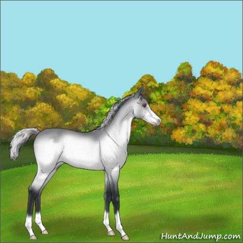 Horse Color:Silver Brown Chinchilla Frame 