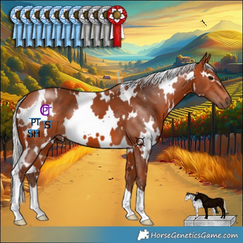 Horse Color:White Spotted Silver Bay 
