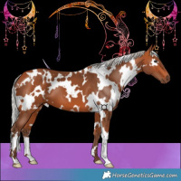 Horse Color:White Spotted Silver Bay 