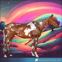 Horse Color:White Spotted Silver Bay 