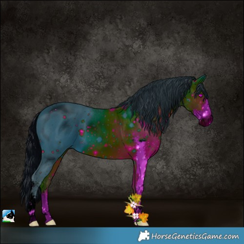 Horse Color:ERROR: UNKNOWN ANOMALY