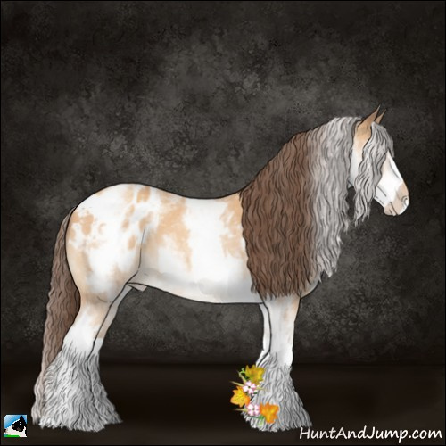 Horse Color:White Spotted Amber Champagne Appaloosa 