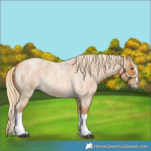 Horse Color:Palomino Roan Splash 
