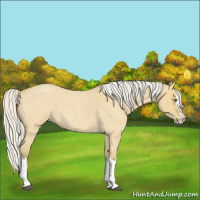 Horse Color:Silver Buckskin Roan Dun Splash 