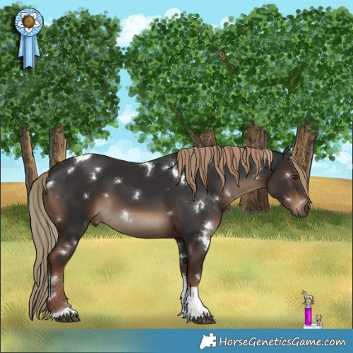 Horse Color:White Spotted Liver Chestnut Tobiano 