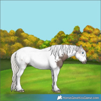 Horse Color:White Spotted Silver Black Tobiano Frame