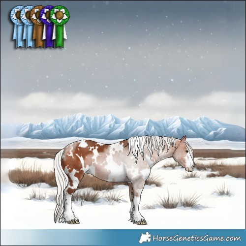 Horse Color:White Spotted Silver Brown 