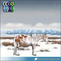 Horse Color:White Spotted Silver Brown