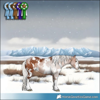 Horse Color:White Spotted Silver Brown 