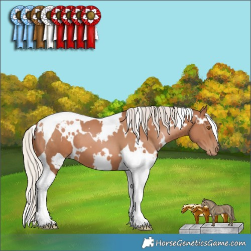 Horse Color:White Spotted Silver Black Pearl Tobiano 