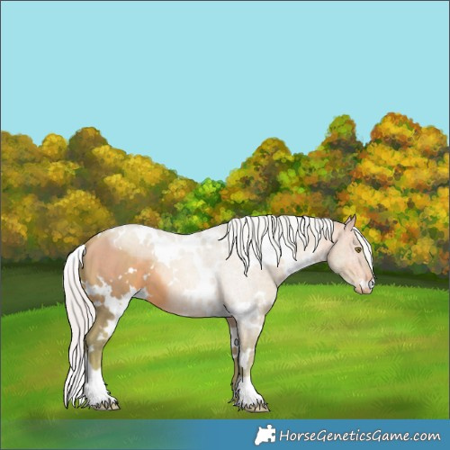Horse Color:Watercolor White Spotted Silver Brown Pearl 