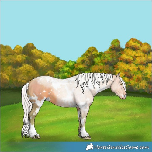 Horse Color:Watercolor White Spotted Silver Brown Pearl 