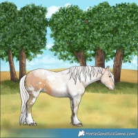 Horse Color:Watercolor White Spotted Silver Brown Pearl