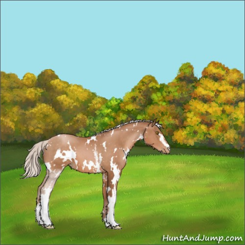 Horse Color:White Spotted Silver Brown Pearl 