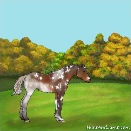 Horse Color:White Spotted Silver Brown 