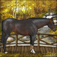 Horse Color:Brown Mushroom 