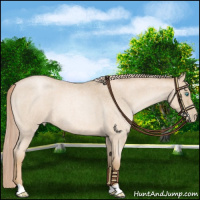 Horse Color:Chocolate Palomino Roan Pearl