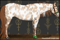 Horse Color:Brown Pearl Dun Near Leopard Rabicano