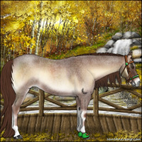 Horse Color:Red Onyx Roan 