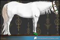 Horse Color:Red Onyx Roan Snowflake Varnish 