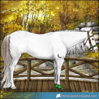 Horse Color:Red Onyx Roan Snowflake Varnish 