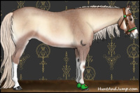 Horse Color:Red Onyx Roan Mushroom 