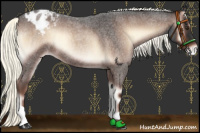 Horse Color:Liver Red Onyx Roan Mushroom Blanket 