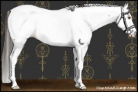 Horse Color:Liver Red Dun Sabino Fewspot Brindle 