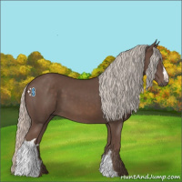 Horse Color:Silver Black 