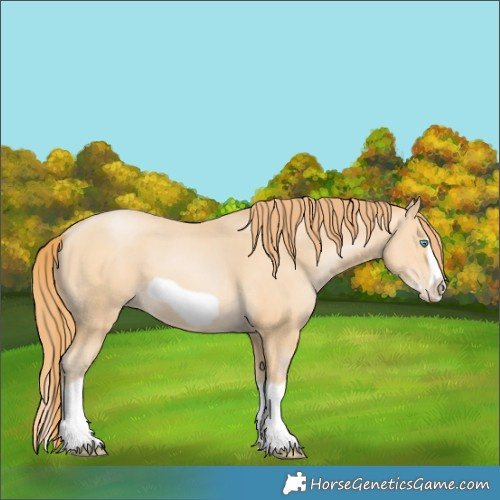 Horse Color:Buckskin Pearl Splash Frame 