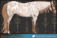 Horse Color:Red Roan Blanket 