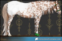 Horse Color:Black Pearl Snowcap
